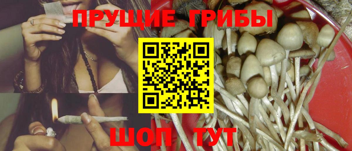 Псилоцибиновые грибы мухоморы  Вход с VPN  Элиста 